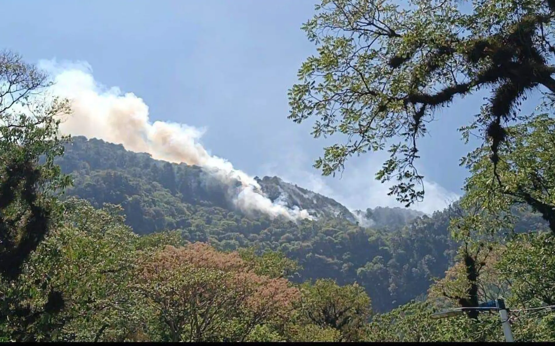 Peligra biodiversidad en zona de la Carbonera; incendio podría extenderse